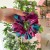 SCRUNCHIE-MAXI-ROSE-PINK (1).jpg